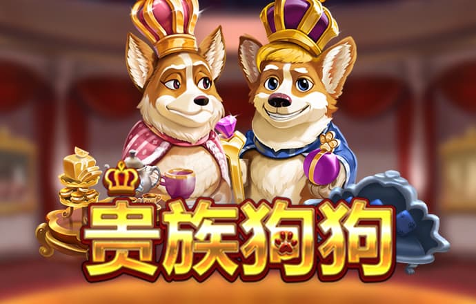 42982acm金牛网
